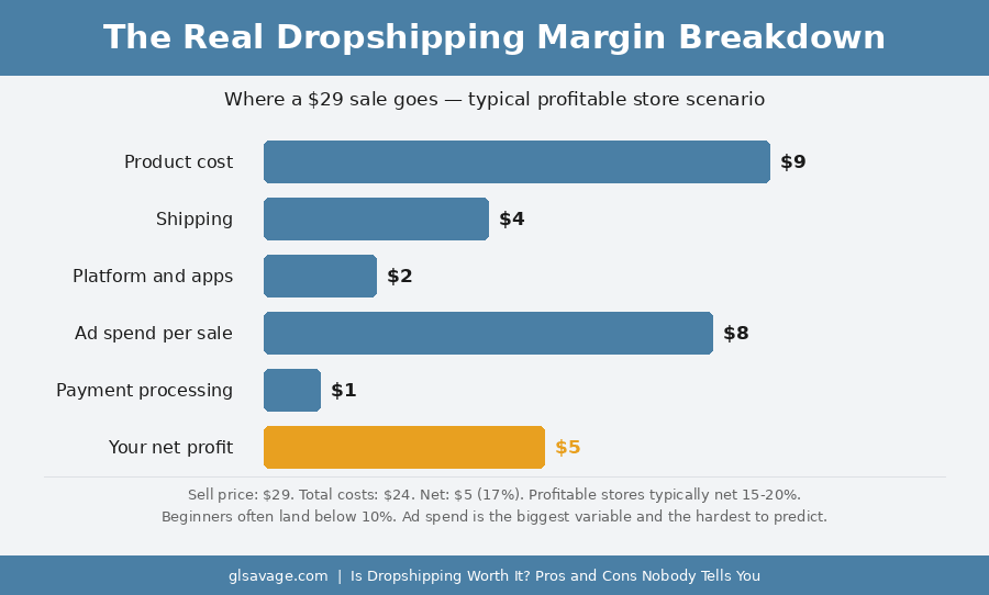 is dropshipping worth it, the real profit margin breakdown after all costs